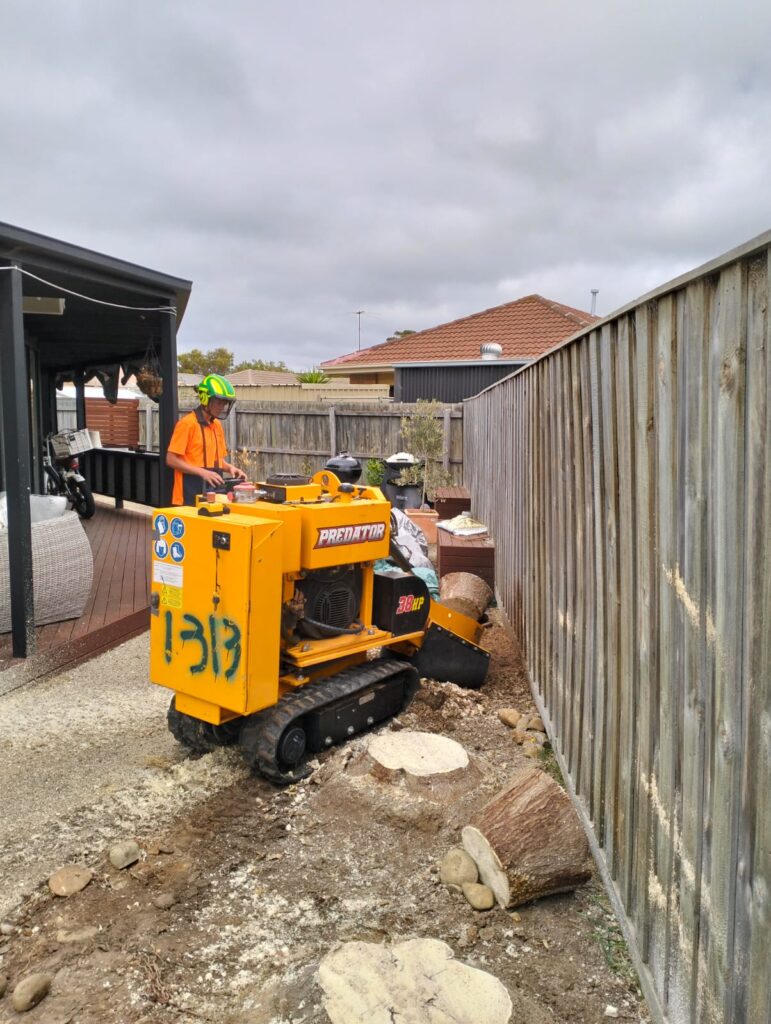 removing yucca stumps