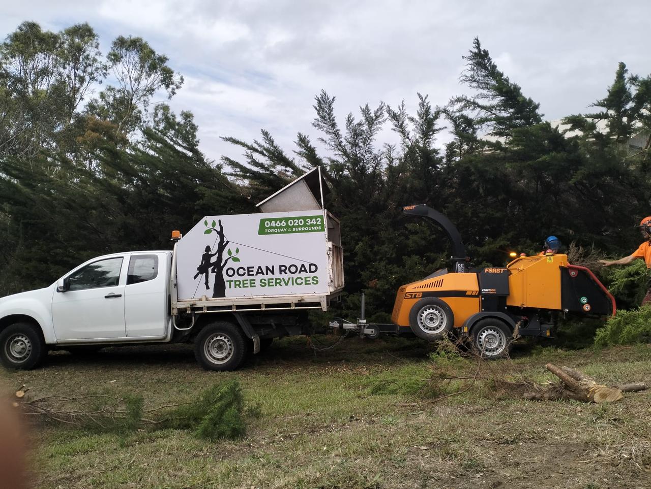 Best Tree stump removal services