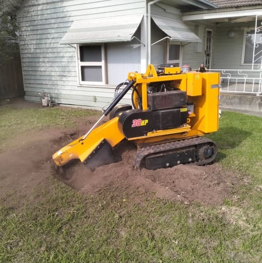 Stump grinding services at pocket friendly rates